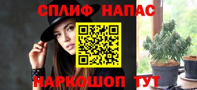 гидропоника Гусь-Хрустальный