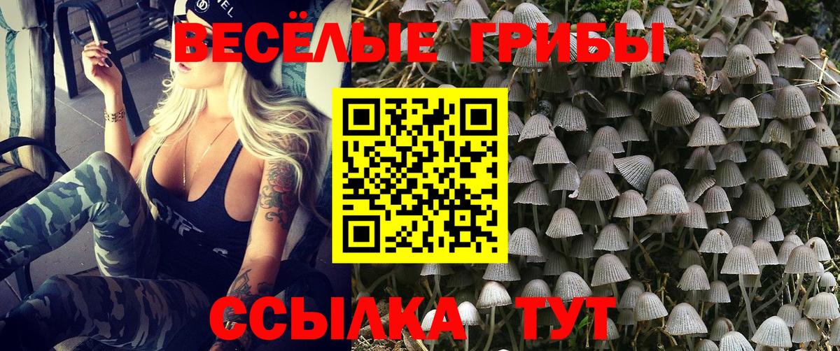 Галлюциногенные грибы Magic Shrooms  Вход с VPN  где продают   Кинешма  Галлюциногенные грибы Psilocybine cubensis 